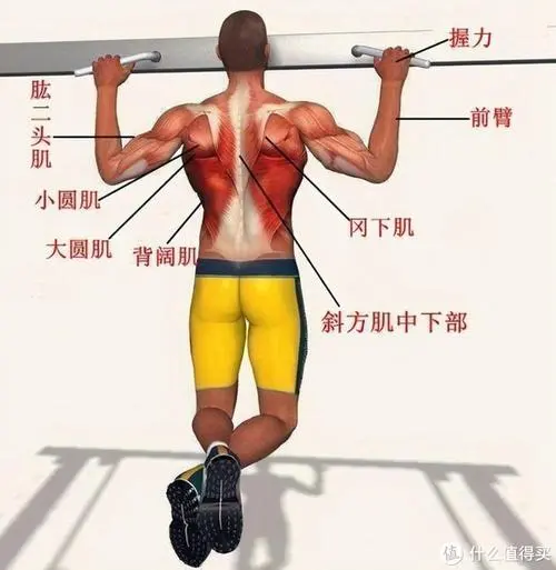PP電子芯片集團，物聯(lián)網(wǎng)關(guān)主機是什么樣子的